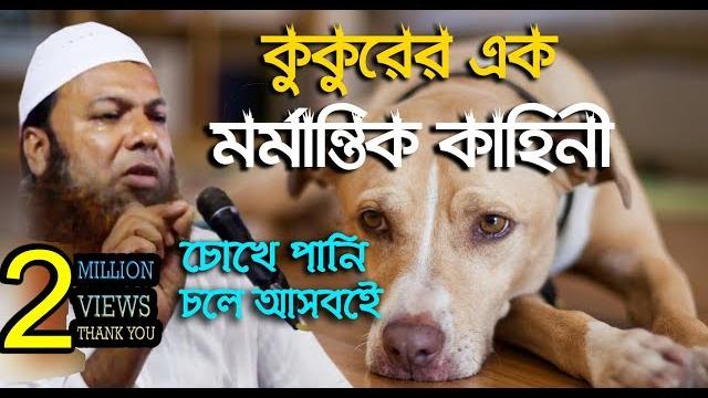 Abdul baset khan 2018 new waz| al karim media| hm habib Abdul baset khan 2018 new waz| al karim media| hm habib