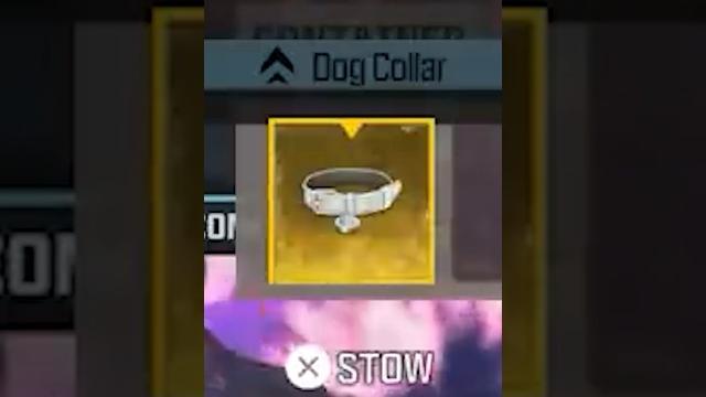 Golden dog collar guide for tier 4 | mw3 zombies Golden dog collar guide for tier 4 | mw3 zombies