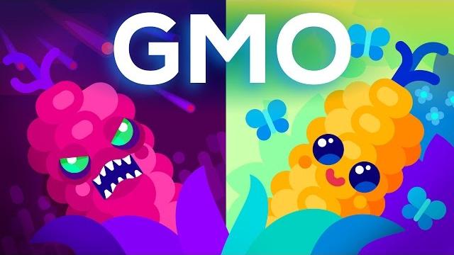 Are gmos good or bad? genetic engineering & our food Are gmos good or bad? genetic engineering & our food