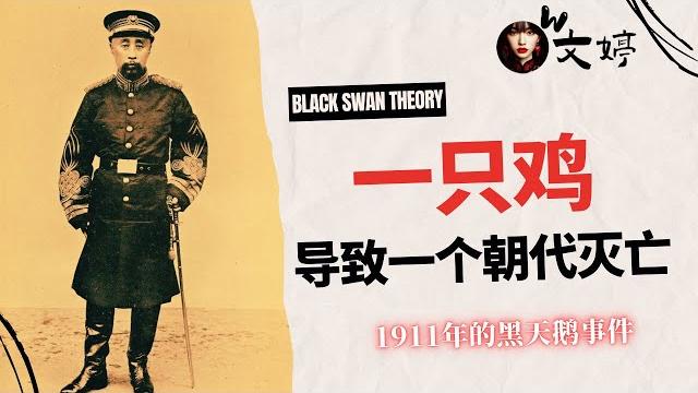 1911年的黑天鹅会在2025年的中国上演吗? 1911年的黑天鹅会在2025年的中国上演吗?