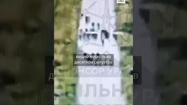 Десятки россиян сдаются в плен в курской области #shorts Десятки россиян сдаются в плен в курской области #shorts