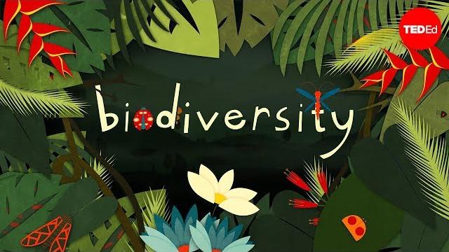 Why is biodiversity so important? - kim preshoff Why is biodiversity so important? - kim preshoff