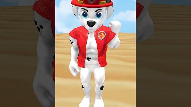 Paw patrol marshall, ryder, chase & skye domino effect amazing #shorts #funny #trending Paw patrol marshall, ryder, chase & skye domino effect amazing #shorts #funny #trending