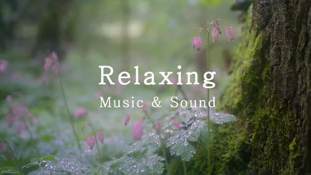 3hrs, yiruma, kiss the rain - rain sound, calm piano, beautiful piano music, calm piano, relaxing 3hrs, yiruma, kiss the rain - rain sound, calm piano, beautiful piano music, calm piano, relaxing