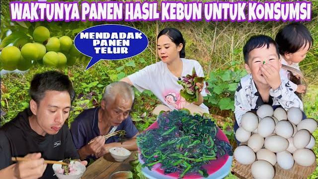 Panen 3 macam sayuran dikebun desa, karena cuaca kamipun mendadak panen telur dimalam hari Panen 3 macam sayuran dikebun desa, karena cuaca kamipun mendadak panen telur dimalam hari