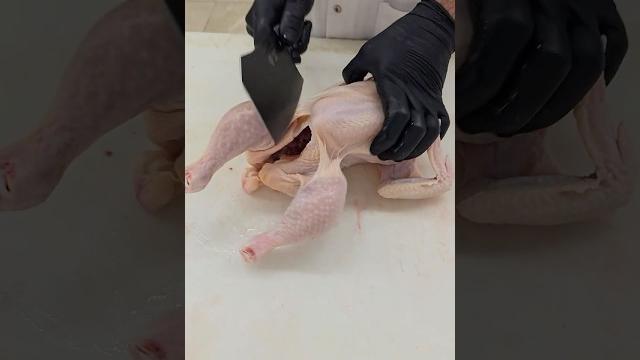 The fastest chicken break down ever The fastest chicken break down ever