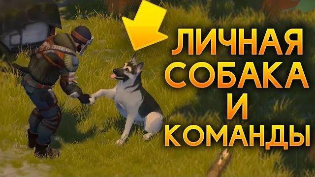Last day on earth - поиск новых щенков! скрещивание пород! прохождение заданий рейдеров! Last day on earth - поиск новых щенков! скрещивание пород! прохождение заданий рейдеров!