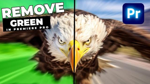 How to remove green screen in premiere pro How to remove green screen in premiere pro