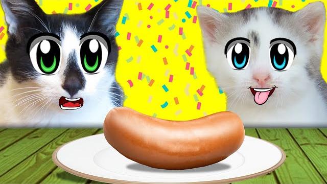 Смешные розыгрыши для котов! кот малыш и кошка мурка и новые приколы! 5 пранков над котами Смешные розыгрыши для котов! кот малыш и кошка мурка и новые приколы! 5 пранков над котами
