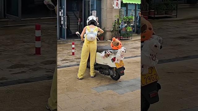 Vroommmm #viral #funny #motovlog #trending #top #motorcycle #cute #bikelover #shorts #superbike Vroommmm #viral #funny #motovlog #trending #top #motorcycle #cute #bikelover #shorts #superbike
