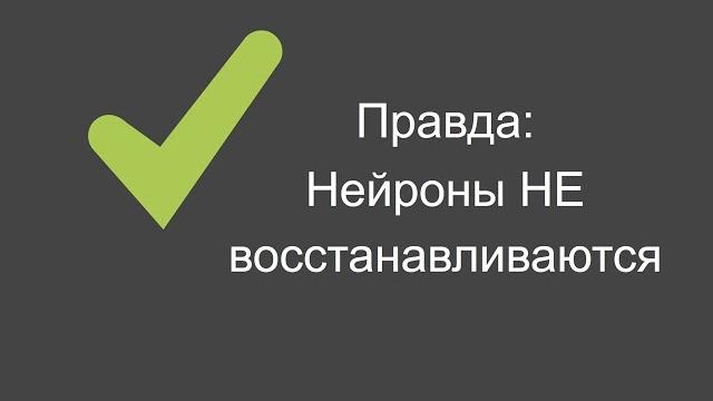 Как фильтровать информацию о мозге Как фильтровать информацию о мозге