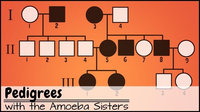 Pedigrees Pedigrees