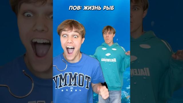 Хотели бы быть рыбой? #юмор #животные #а4 Хотели бы быть рыбой? #юмор #животные #а4