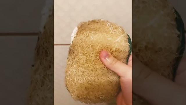 Rotina da noite Rotina da noite