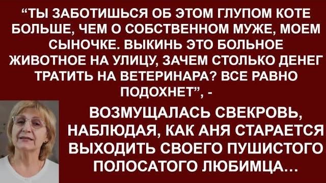 -ты сколько денег потратила на лечение своего кота?лучше бы мужу айфон новый купила-заявила свекровь -ты сколько денег потратила на лечение своего кота?лучше бы мужу айфон новый купила-заявила свекровь