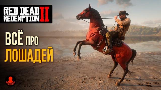 Всё про лошадей в red dead redemption 2 | rdr2 Всё про лошадей в red dead redemption 2 | rdr2