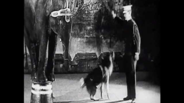 An intorduction to vaudeville An intorduction to vaudeville