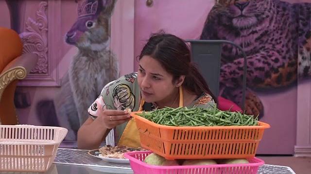 Bigg boss 13 highlights | colors Bigg boss 13 highlights | colors