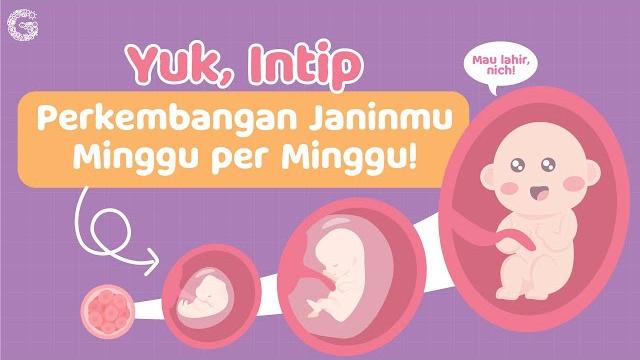 Fetal development week by week Fetal development week by week