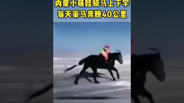 内蒙小萌娃骑马上下学,每天策马奔腾40公里。 内蒙小萌娃骑马上下学,每天策马奔腾40公里。