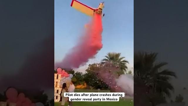 Pilot dies after plane crashes during gender reveal party in mexico Pilot dies after plane crashes during gender reveal party in mexico