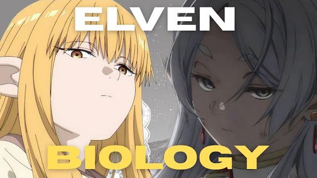 Anime got elves all wrong... until frieren Anime got elves all wrong... until frieren
