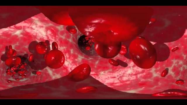 Full 360 pan - blood vessels Full 360 pan - blood vessels