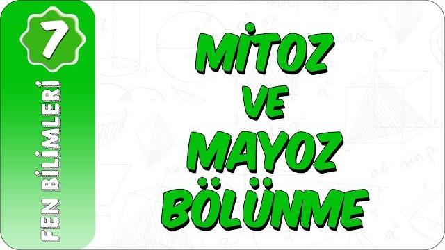7. sınıf fen bilimleri | mitoz ve mayoz bölünme 7. sınıf fen bilimleri | mitoz ve mayoz bölünme