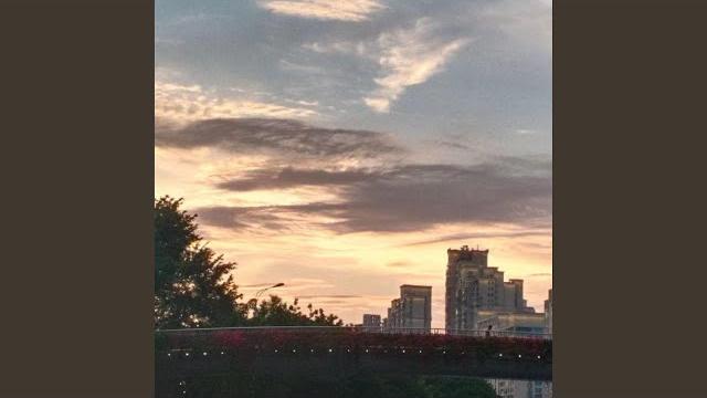 梨花雨下 梨花雨下