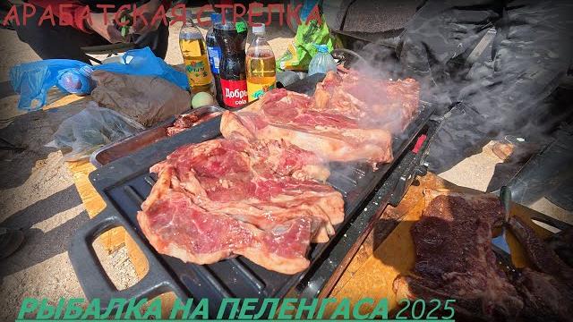 Крупный пеленгас 2025 отдыхаем на природе Крупный пеленгас 2025 отдыхаем на природе