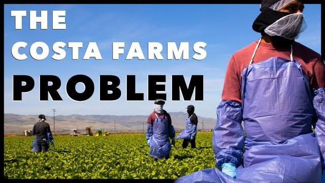 The costa farms problem The costa farms problem