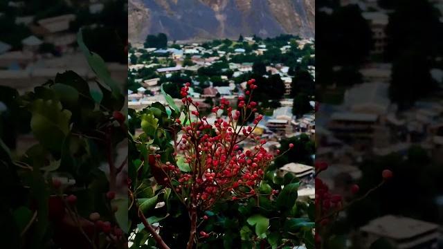 Chitral city view from chitral gol national park track #discoverpakistan #chitral #tourism #explore Chitral city view from chitral gol national park track #discoverpakistan #chitral #tourism #explore