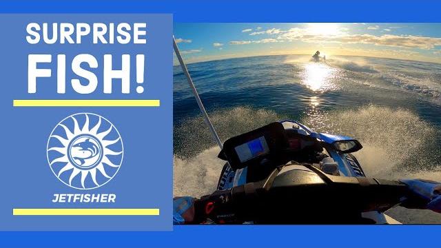 Surprise big fish! offshore jetski fishing Surprise big fish! offshore jetski fishing