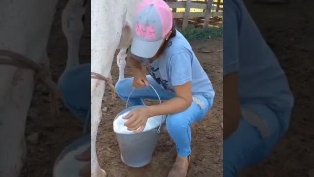 Peras susu, keluar banyak Peras susu, keluar banyak
