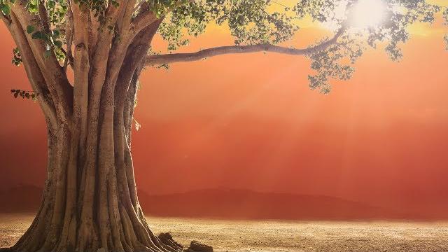 Magical healing mantra prana apana sushumna hari meditation Magical healing mantra prana apana sushumna hari meditation