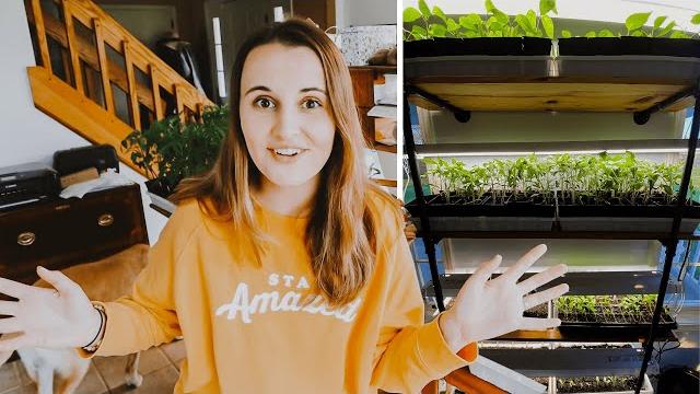 Full tour of my indoor growing room! Full tour of my indoor growing room!