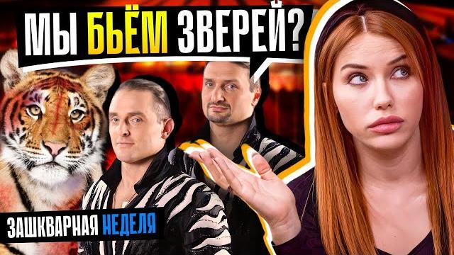 Жестокие методы запашных! | что происходит в цирке? Жестокие методы запашных! | что происходит в цирке?