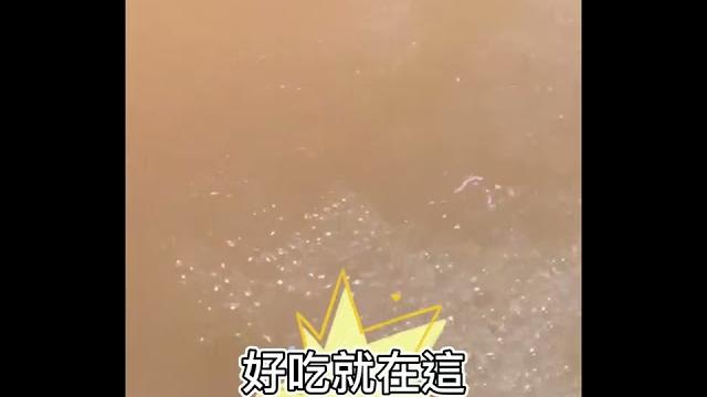 【一口香】鹽蔥醬 香蔥油 青蔥系列為什麼這麼好吃?每天超熱賣 【一口香】鹽蔥醬 香蔥油 青蔥系列為什麼這麼好吃?每天超熱賣