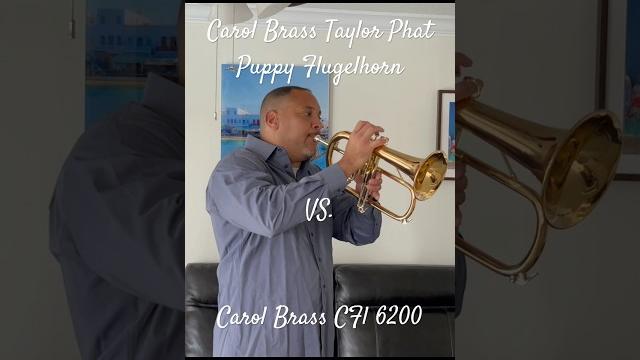 Can you tell them apart? carol brass phat puppy flugelhorn vs carol brass cfl 6200 #carolbrass Can you tell them apart? carol brass phat puppy flugelhorn vs carol brass cfl 6200 #carolbrass