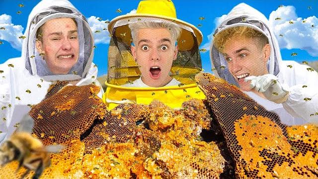 Открыли свою лавку с мёдом на 24 часа ! Открыли свою лавку с мёдом на 24 часа !