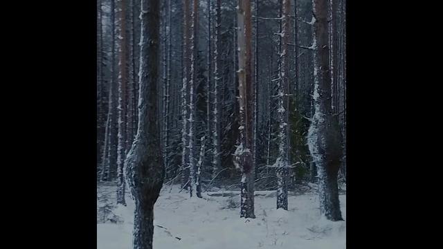 Внутри дерева нашли девочку #леший ( 2026) #shorts #фильм #кино #shortsvideo #топ #shorts Внутри дерева нашли девочку #леший ( 2026) #shorts #фильм #кино #shortsvideo #топ #shorts