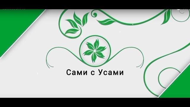 Декоративный огород | сами с усами Декоративный огород | сами с усами