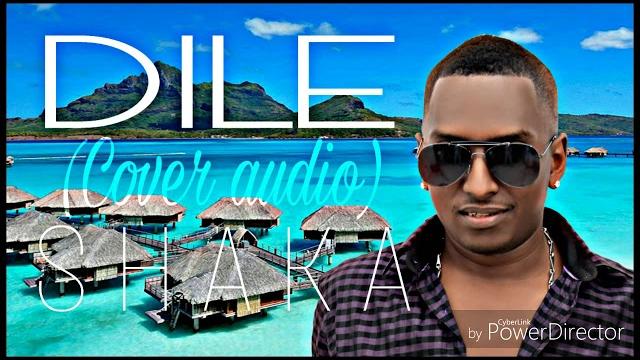 Dile (cover audio) shaka real Dile (cover audio) shaka real