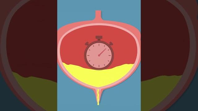 Holding in pee can stretch important muscles in your bladder. #healthtips #bladder #pee Holding in pee can stretch important muscles in your bladder. #healthtips #bladder #pee