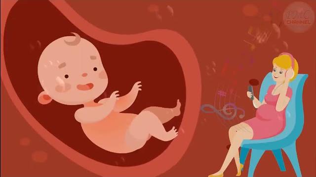 Pregnancy music for unborn baby brain development baby kick in the womb Pregnancy music for unborn baby brain development baby kick in the womb