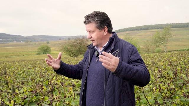 Domaine comte senard Domaine comte senard