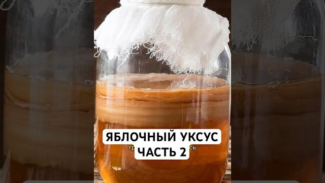 Яблочный уксус часть 2 Яблочный уксус часть 2