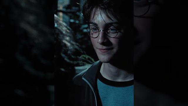 Сириус блэк про любовь | гарри поттер и узник азкабана #гаррипоттер #гариолдман #сириусблэк Сириус блэк про любовь | гарри поттер и узник азкабана #гаррипоттер #гариолдман #сириусблэк