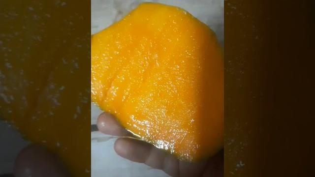 Mango ka season aya leke naya bahar aya creamy milkshake #trending #food #viralsubscribe my channel Mango ka season aya leke naya bahar aya creamy milkshake #trending #food #viralsubscribe my channel