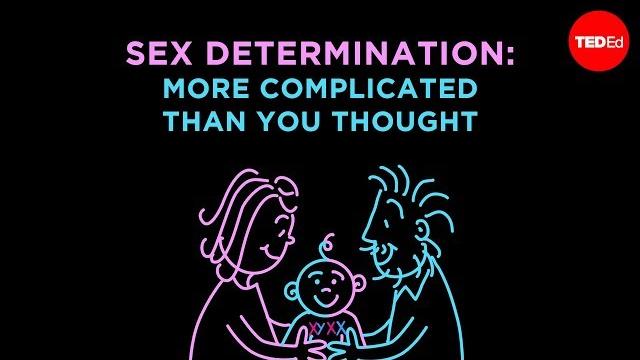 Sex determination: more complicated than you thought Sex determination: more complicated than you thought